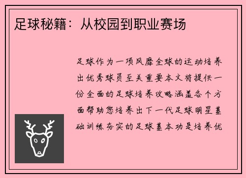 足球秘籍：从校园到职业赛场